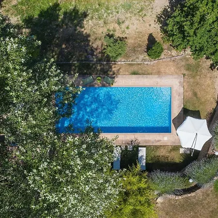 فيلة Casa